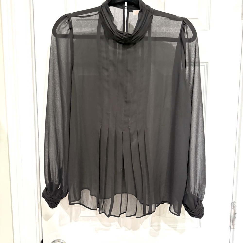 Black Pleated Sheer Women's Top
